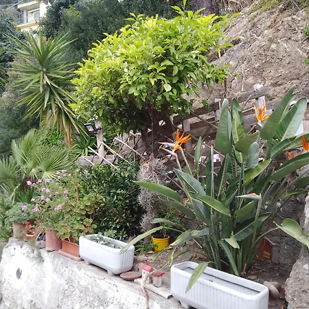Apartament Oasi *